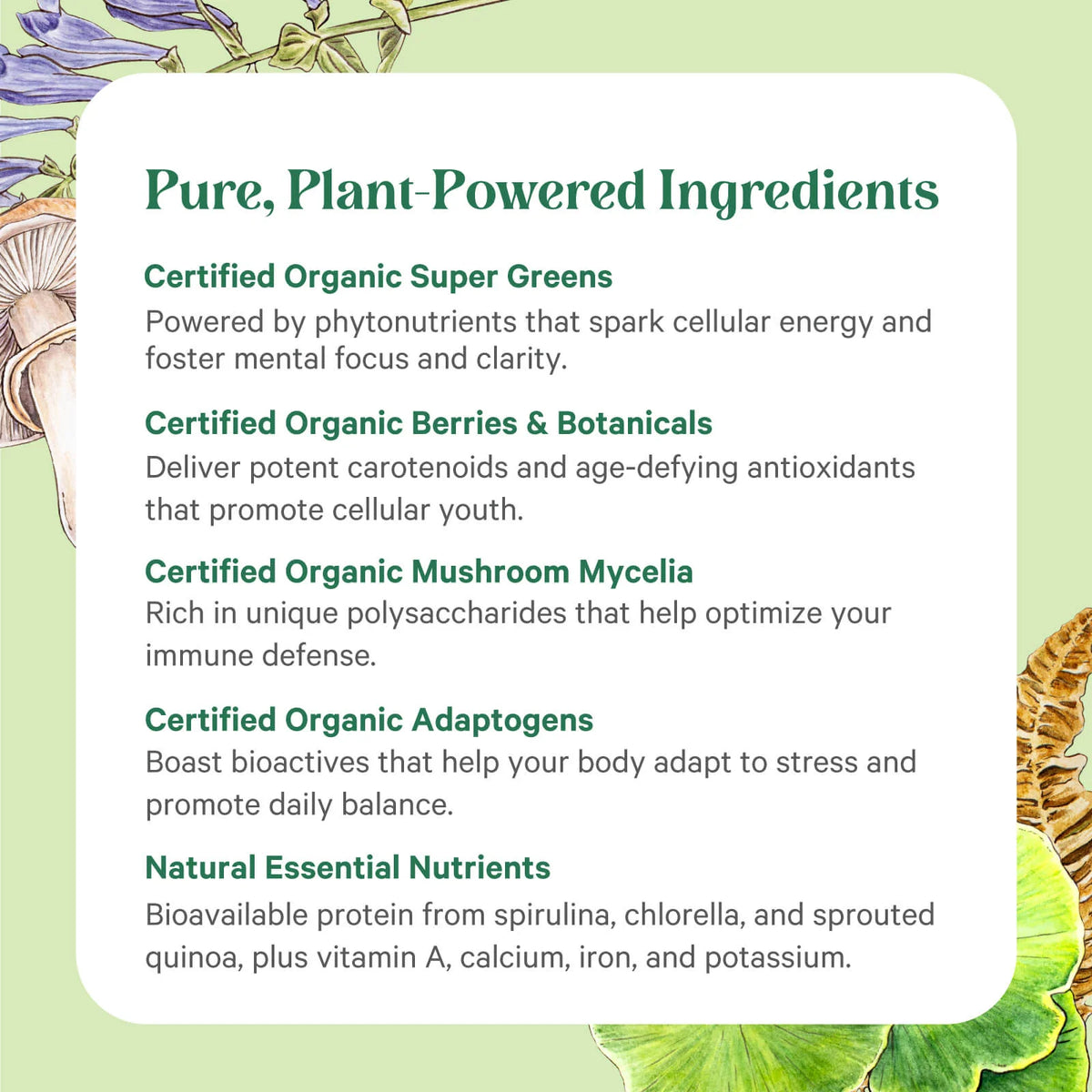 Pure Synergy® Organic Superfood — 12.5 oz Powder